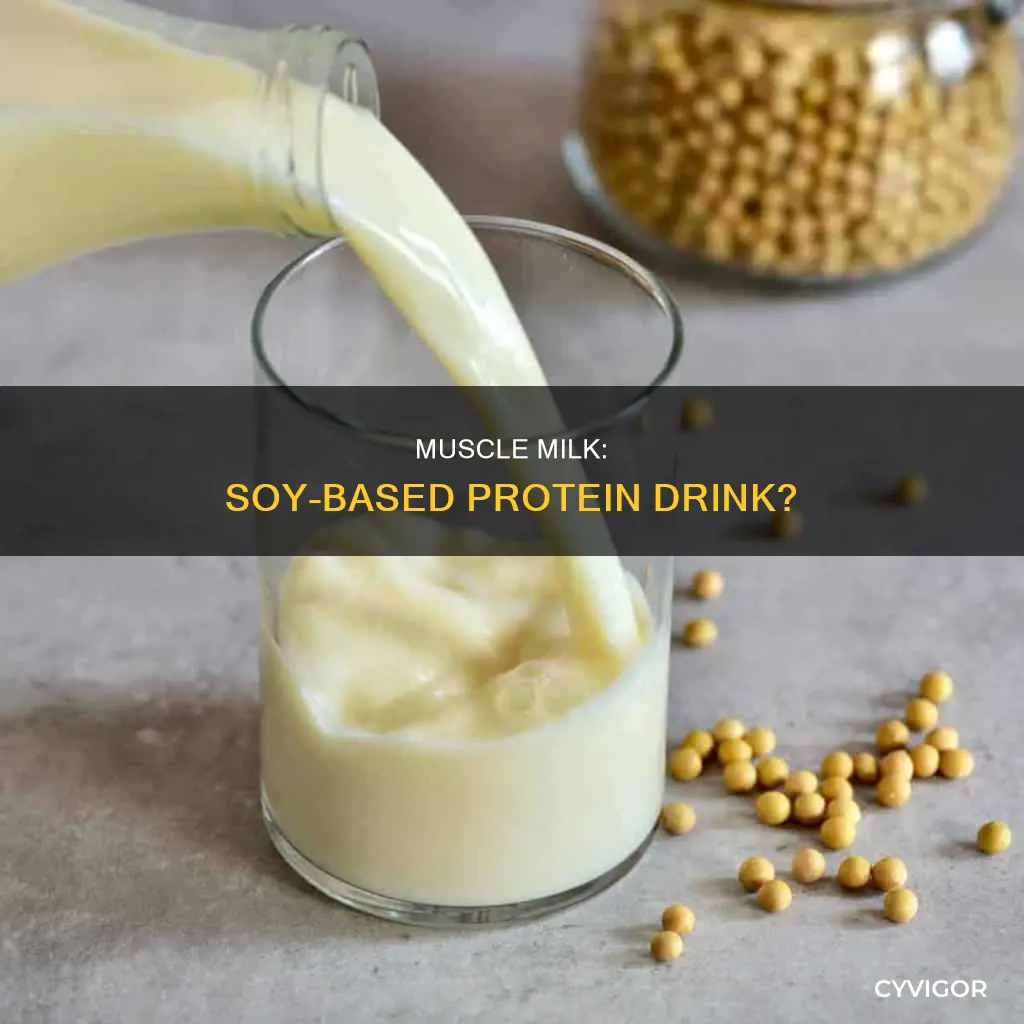 is muscle milk soy