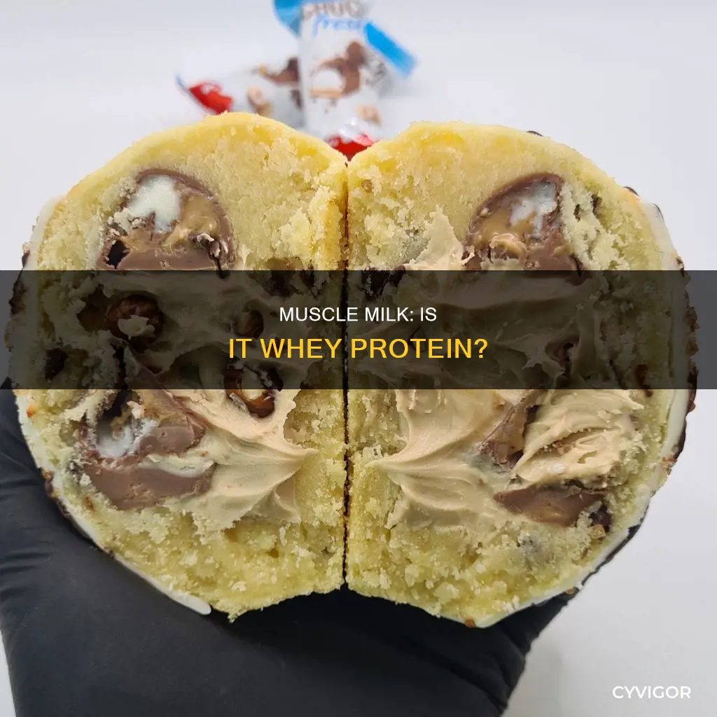 is muscle milk whey protein