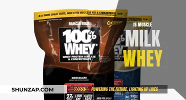 Muscle Milk: The Whey to Go for Fitness