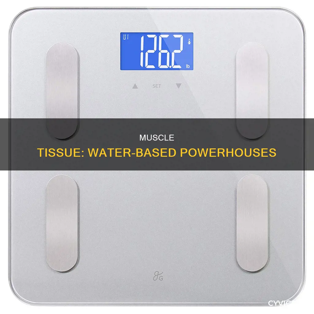 is muscle mostly water