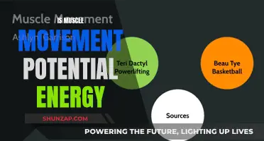 Muscle Movement: Unlocking the Power of Potential Energy