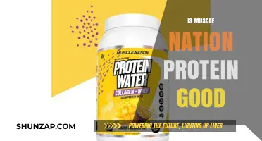Is Muscle Nation Protein Worth It? A Comprehensive Review and Analysis