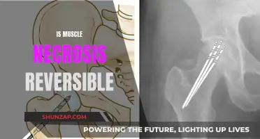 Reversing Muscle Necrosis: Is It Possible?