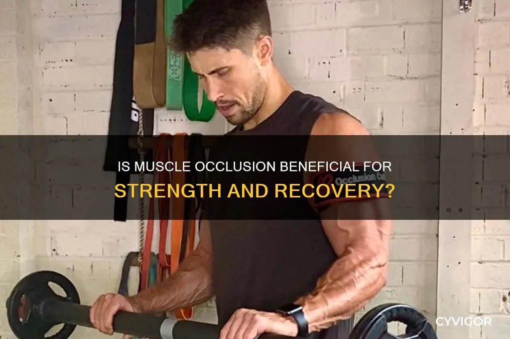 is muscle occlusion good