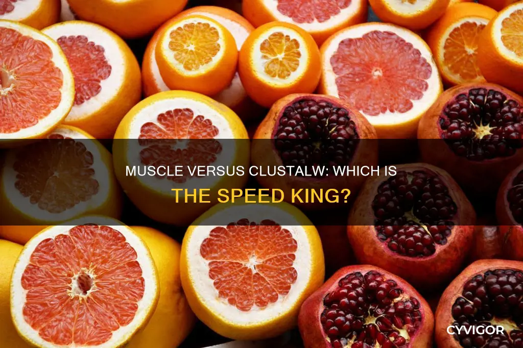 is muscle or clustalw faster