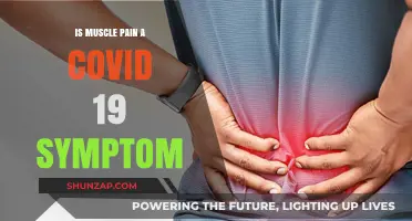 Muscle Pain and COVID-19: Understanding Its Role as a Symptom
