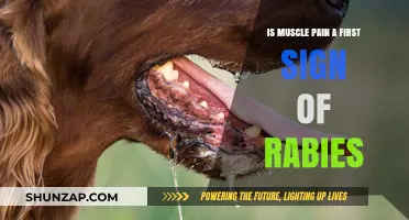 Muscle Pain and Rabies: Early Warning Sign or Coincidence?
