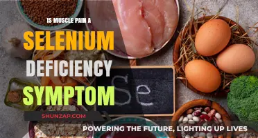 Could Selenium Deficiency Be Causing Your Muscle Pain? Find Out