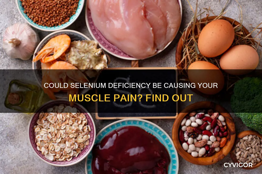 is muscle pain a selenium deficiency symptom