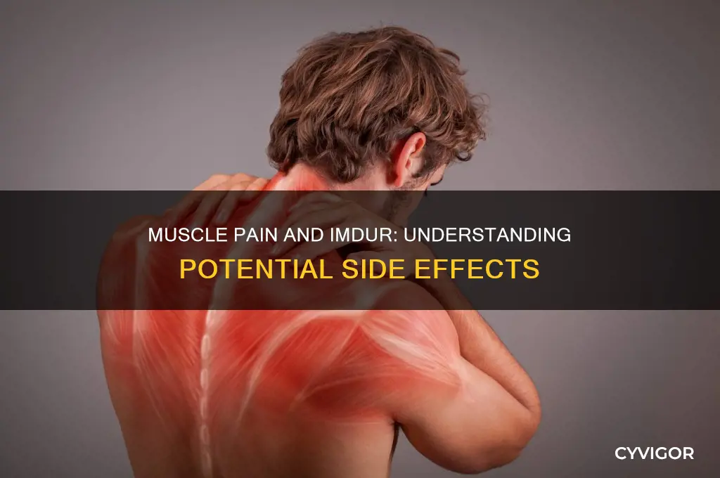 is muscle pain a side effect of imdur