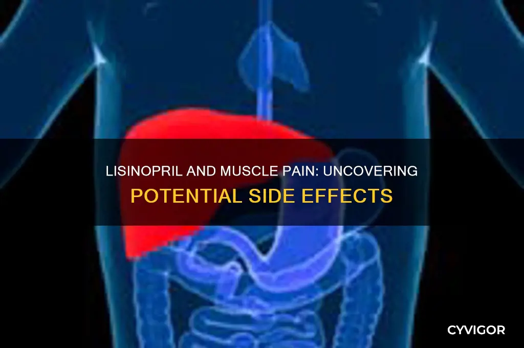 is muscle pain a side effect of lisinopril