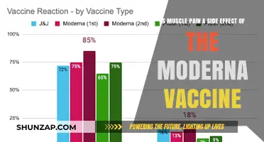 Moderna Vaccine and Muscle Pain: Understanding Potential Side Effects