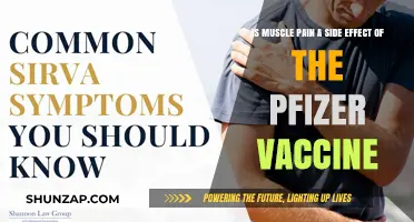 Pfizer Vaccine and Muscle Pain: Understanding Potential Side Effects