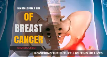 Muscle Pain and Breast Cancer: Unraveling the Connection and Symptoms