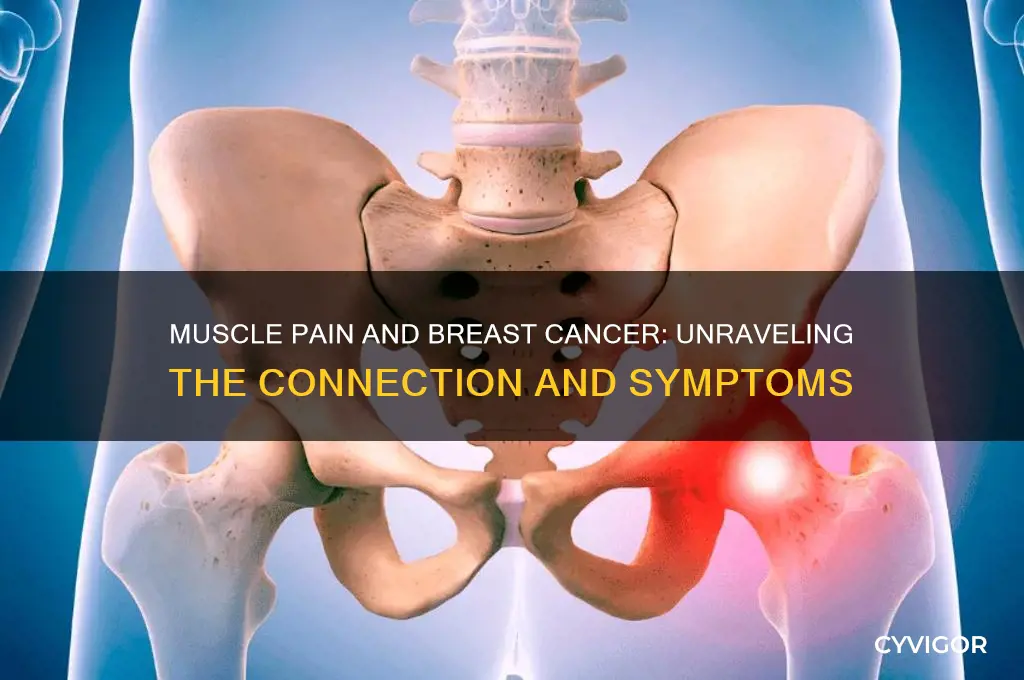is muscle pain a sign of breast cancer