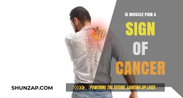 Muscle Pain and Cancer: Understanding the Potential Connection and Risks