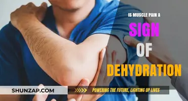 Muscle Pain and Dehydration: Unraveling the Connection for Optimal Health