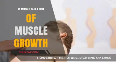 Muscle Pain and Growth: Understanding the Connection and Recovery