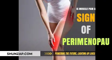 Muscle Pain and Perimenopause: Understanding the Connection and Relief