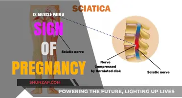 Muscle Pain and Pregnancy: Understanding Early Symptoms and Causes