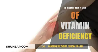 Muscle Pain and Vitamin Deficiency: Uncovering the Hidden Connection