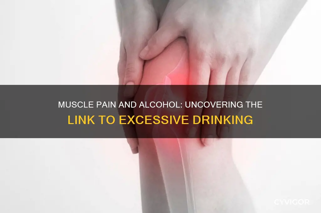 is muscle pain a symptom of excessive drinking