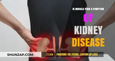 Muscle Pain and Kidney Disease: Uncovering the Surprising Connection