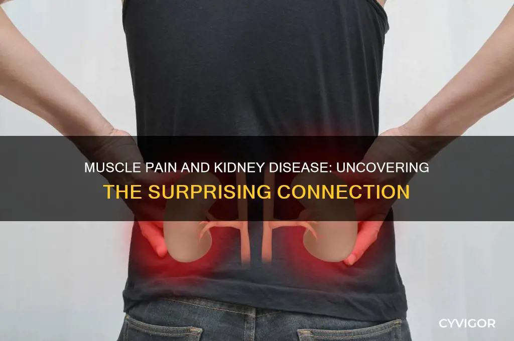 is muscle pain a symptom of kidney disease
