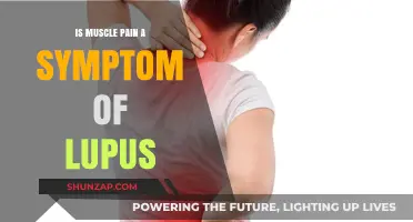 Is Muscle Pain a Symptom of Lupus? Understanding the Connection
