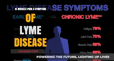 Muscle Pain and Lyme Disease: Understanding the Connection and Symptoms