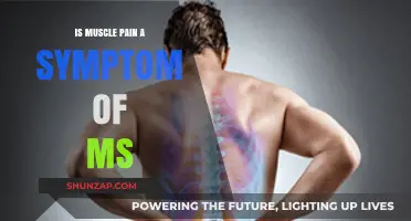 Muscle Pain and MS: Understanding the Connection and Symptoms