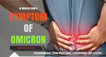 Omicron and Muscle Pain: Understanding the Connection and Symptoms