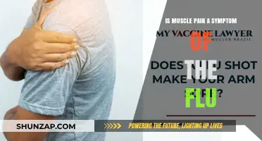 Is Muscle Pain a Symptom of the Flu? Understanding the Connection