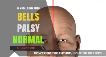 Is Muscle Pain After Bell's Palsy Normal? Understanding Recovery Symptoms