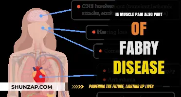 Muscle Pain and Fabry Disease: Understanding the Connection