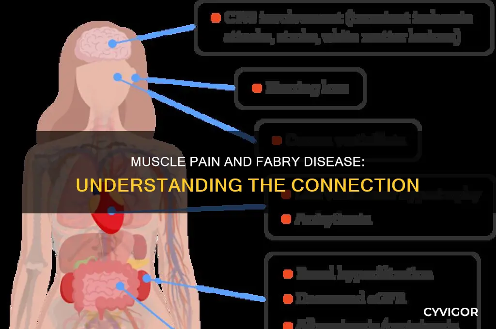 is muscle pain also part of fabry disease