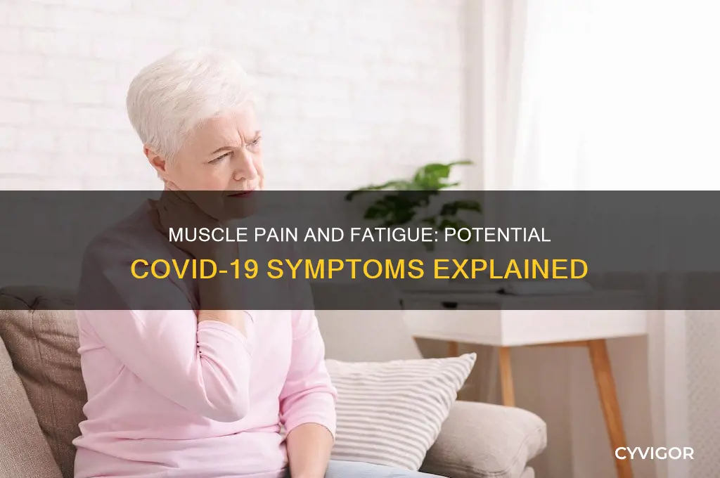 is muscle pain and fatigue a sign of covid