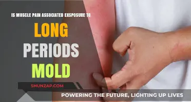 Mold Exposure and Muscle Pain: Uncovering the Hidden Connection
