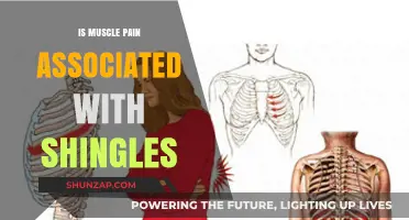 Understanding Shingles: Exploring the Link Between Muscle Pain and Outbreaks