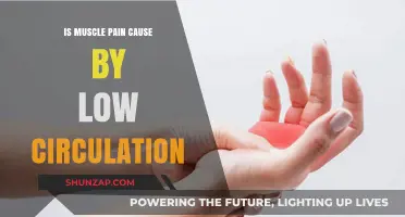 Muscle Pain and Poor Circulation: What's the Link?
