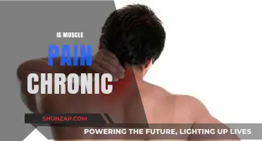 Understanding Chronic Muscle Pain: Causes, Symptoms, and Effective Management Strategies