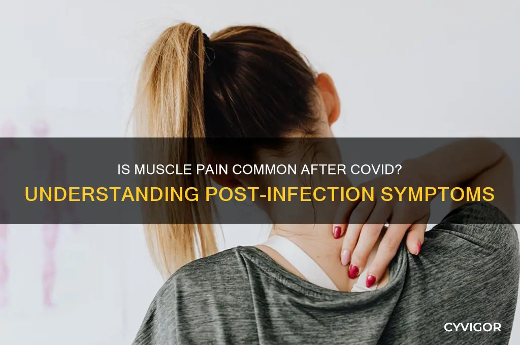is muscle pain common after covid