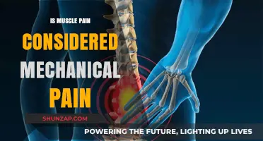 Is Muscle Pain Mechanical? Understanding the Nature of Discomfort