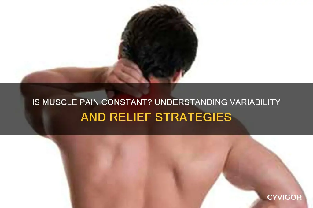 is muscle pain constant