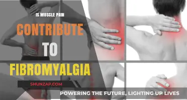 Muscle Pain and Fibromyalgia: Unraveling the Complex Connection