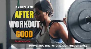 Is Post-Workout Muscle Soreness Beneficial for Fitness Progress?