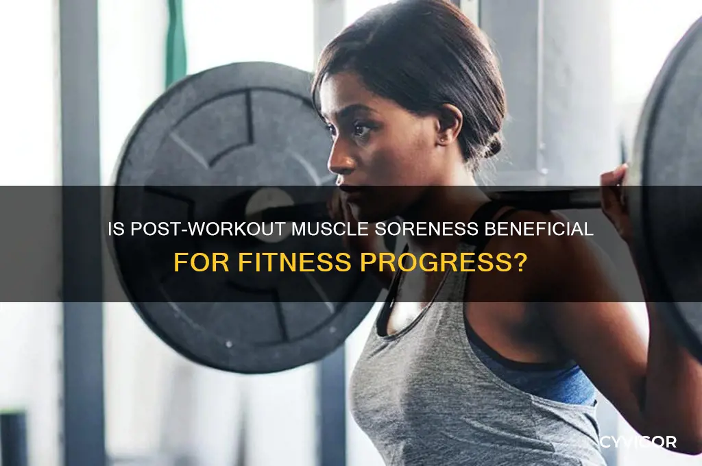 is muscle pain day after workout good