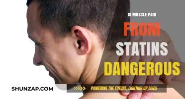 Is Muscle Pain from Statins Dangerous? Understanding Risks and Safety