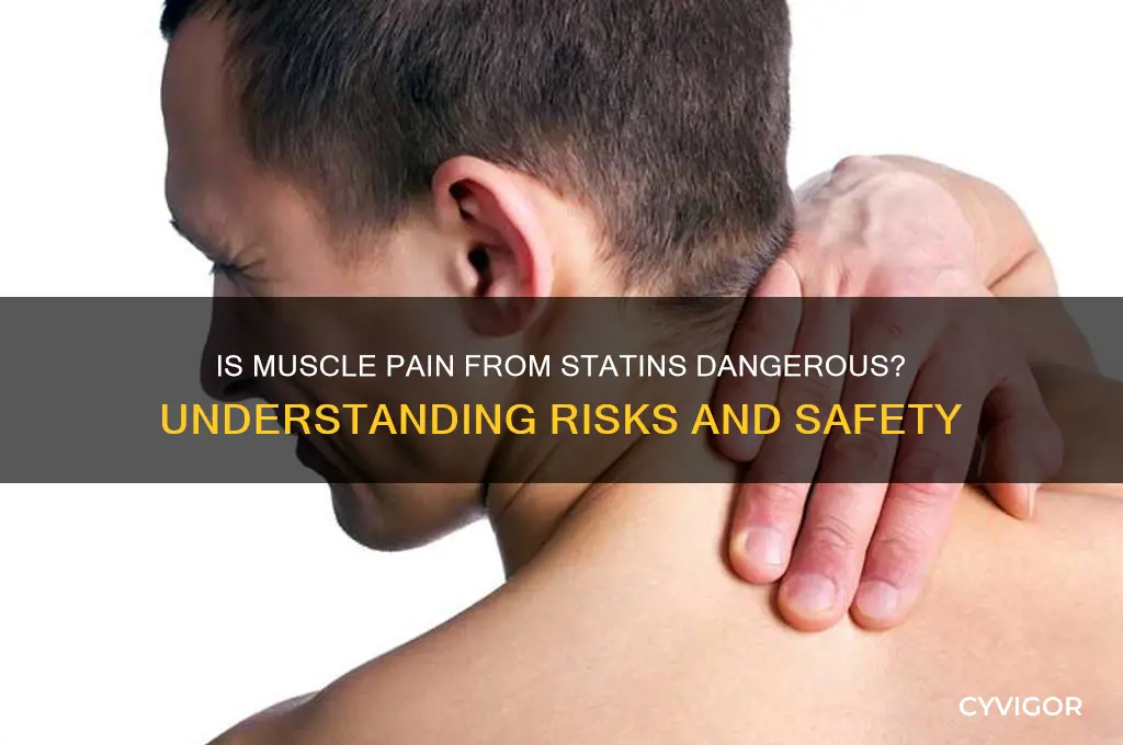 is muscle pain from statins dangerous
