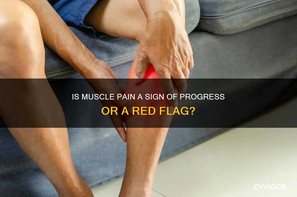 is muscle pain good